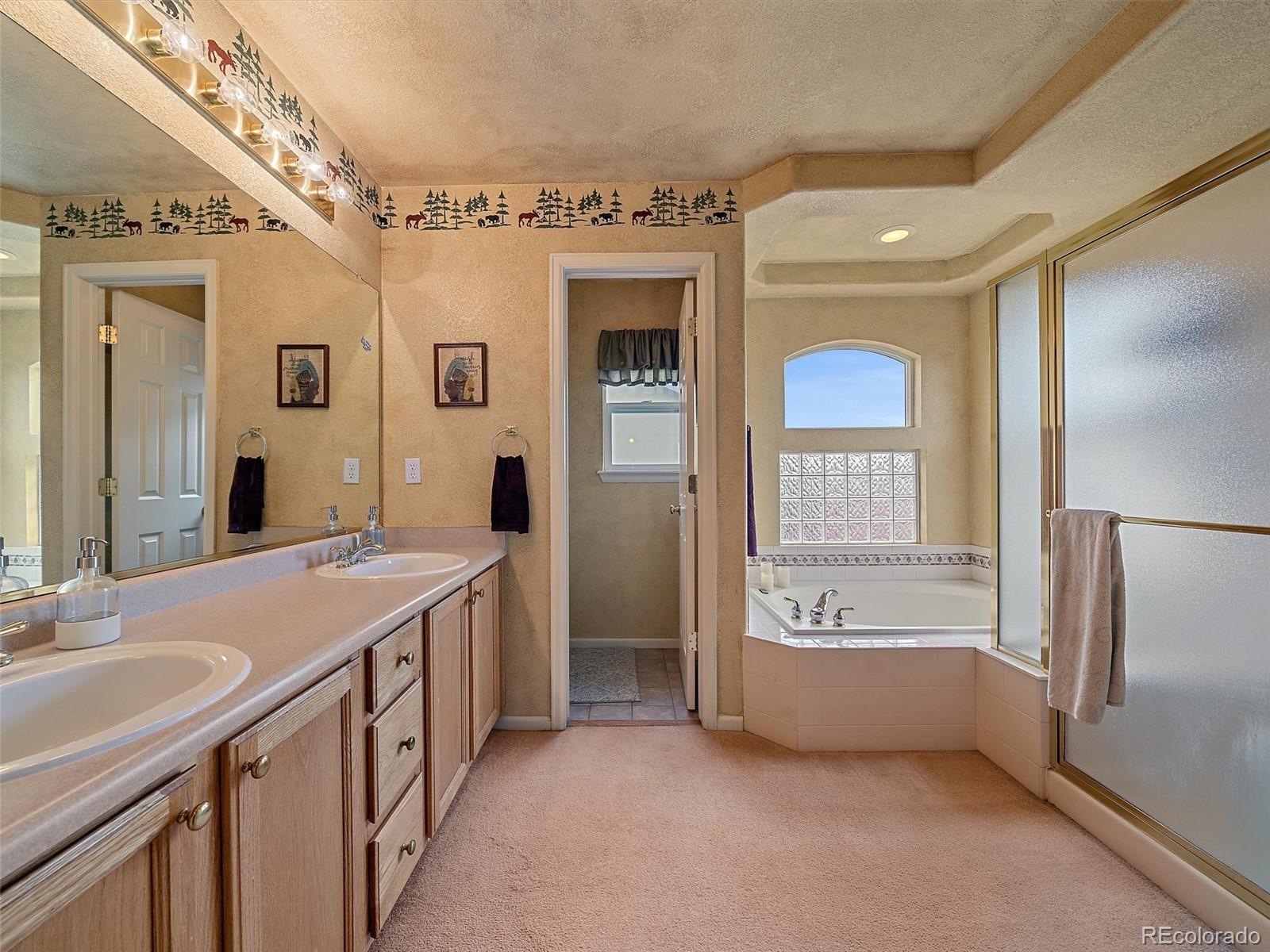 6523 Shannon Trail Highlands Ranch, CO 80130 - Photo 23 of 38 a bathroom with a tub sink and mirror