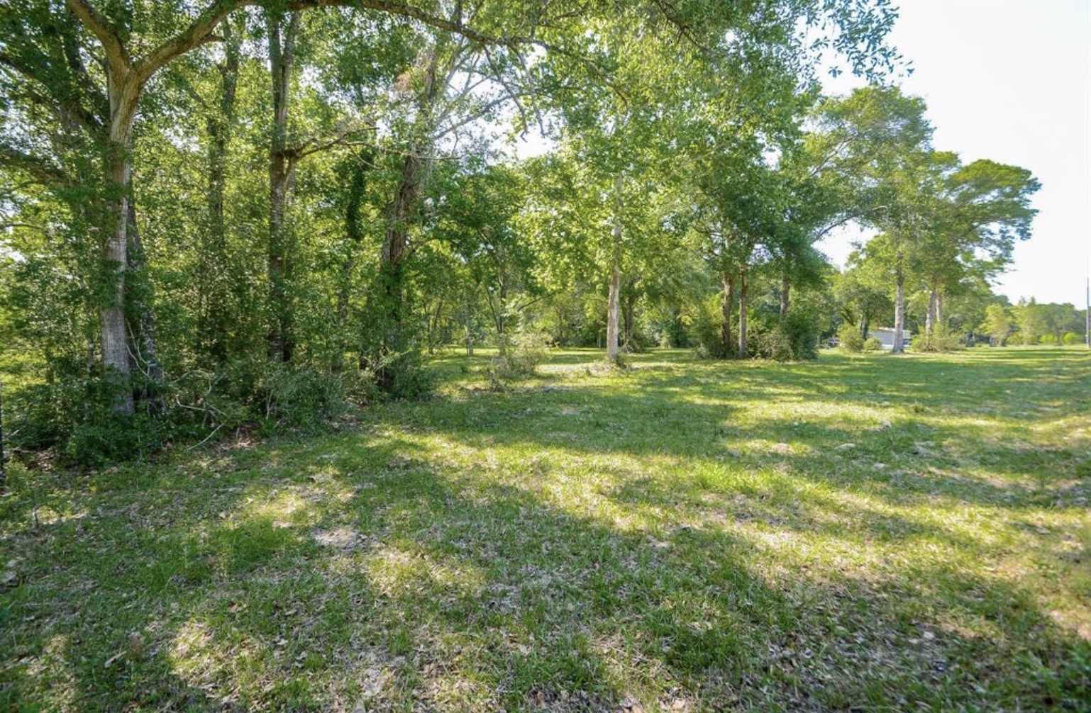 28327 Clarke Bottom Road Hempstead, TX 77445 - Photo 3 of 8