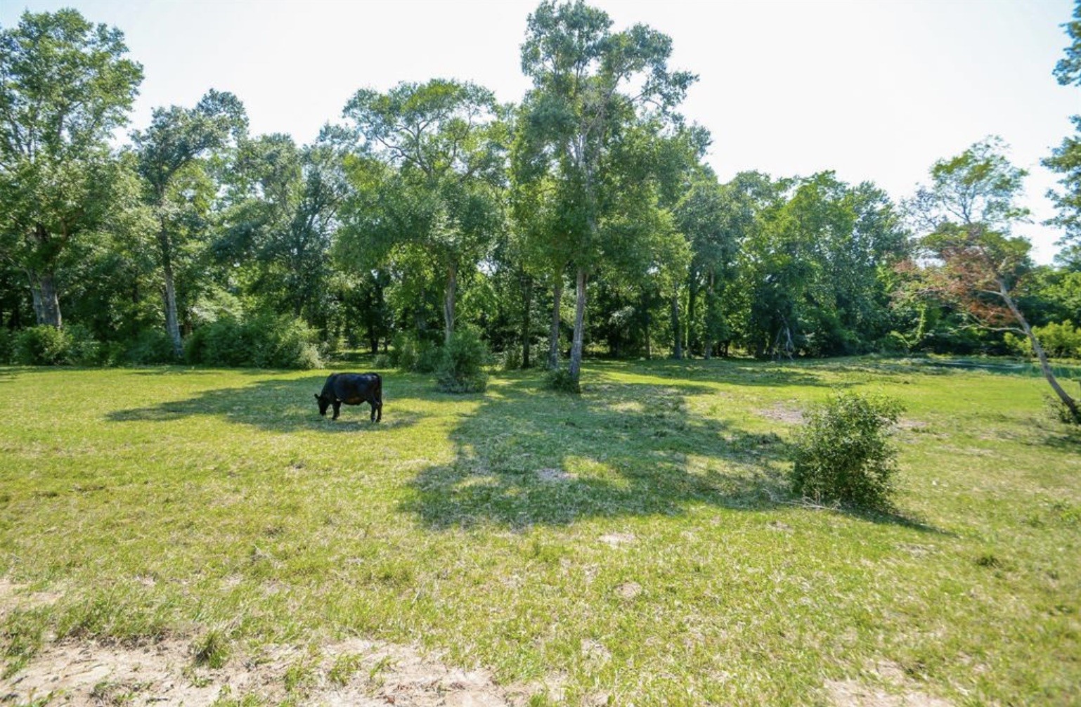 28327 Clarke Bottom Road Hempstead, TX 77445 - Photo 4 of 8