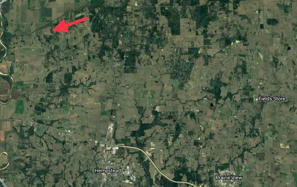 a view of a yard with a plant