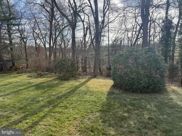 a view of a backyard with large trees