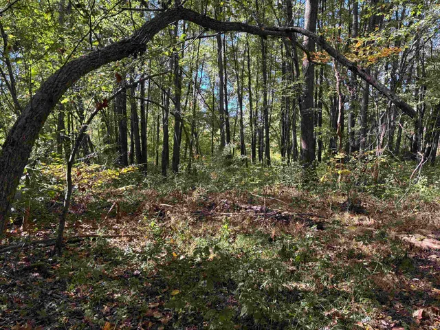 $990,000 | 0 East 275th, Sullivan, IN 47882