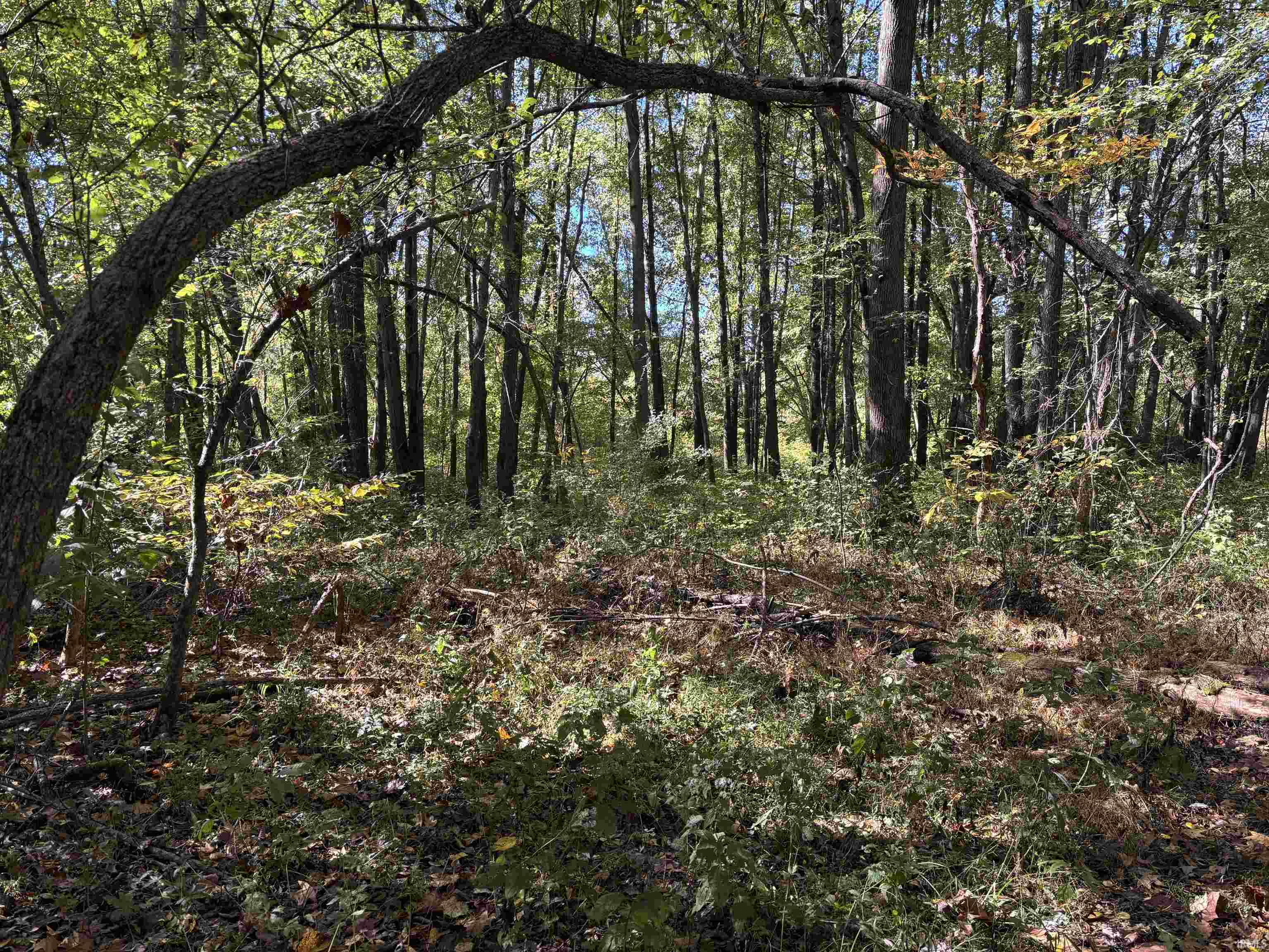 0 East 275th Sullivan, IN 47882 - Photo 13 of 24