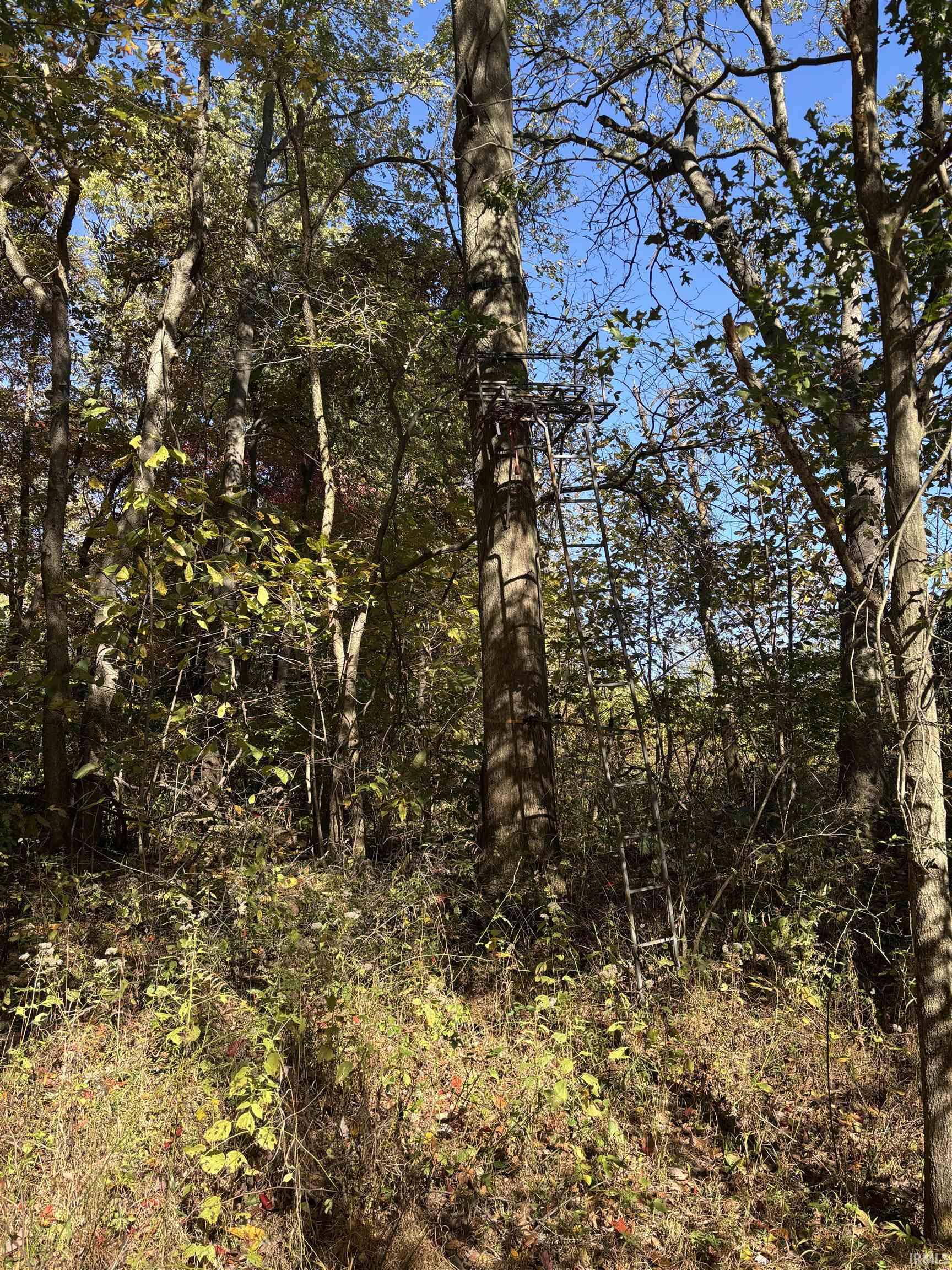 0 East 275th Sullivan, IN 47882 - Photo 15 of 24