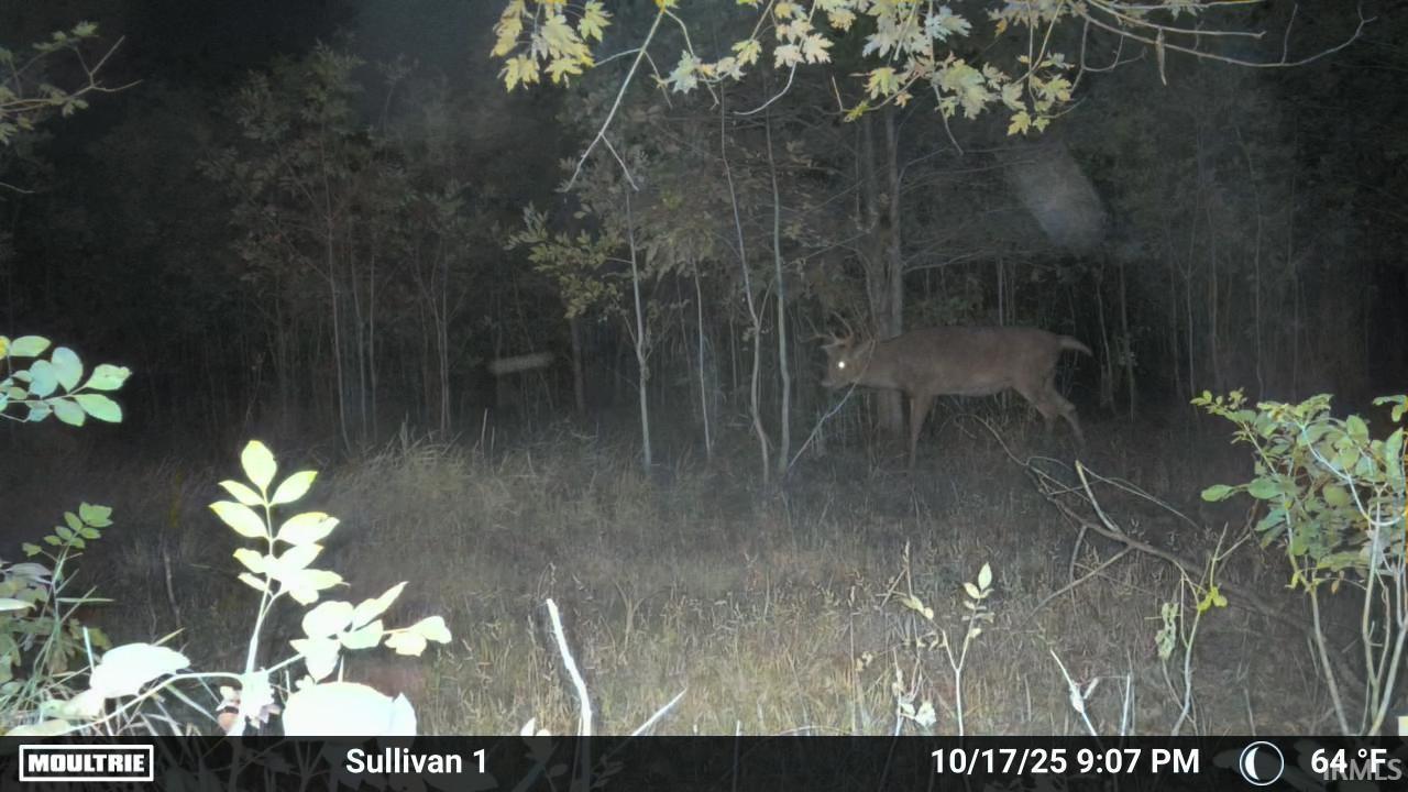 0 East 275th Sullivan, IN 47882 - Photo 21 of 24