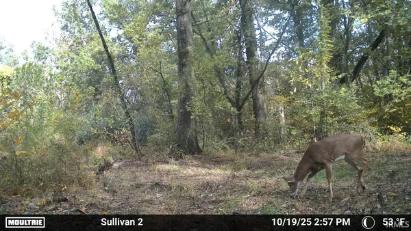 $950,000 | 0 East 275th, Sullivan, IN 47882