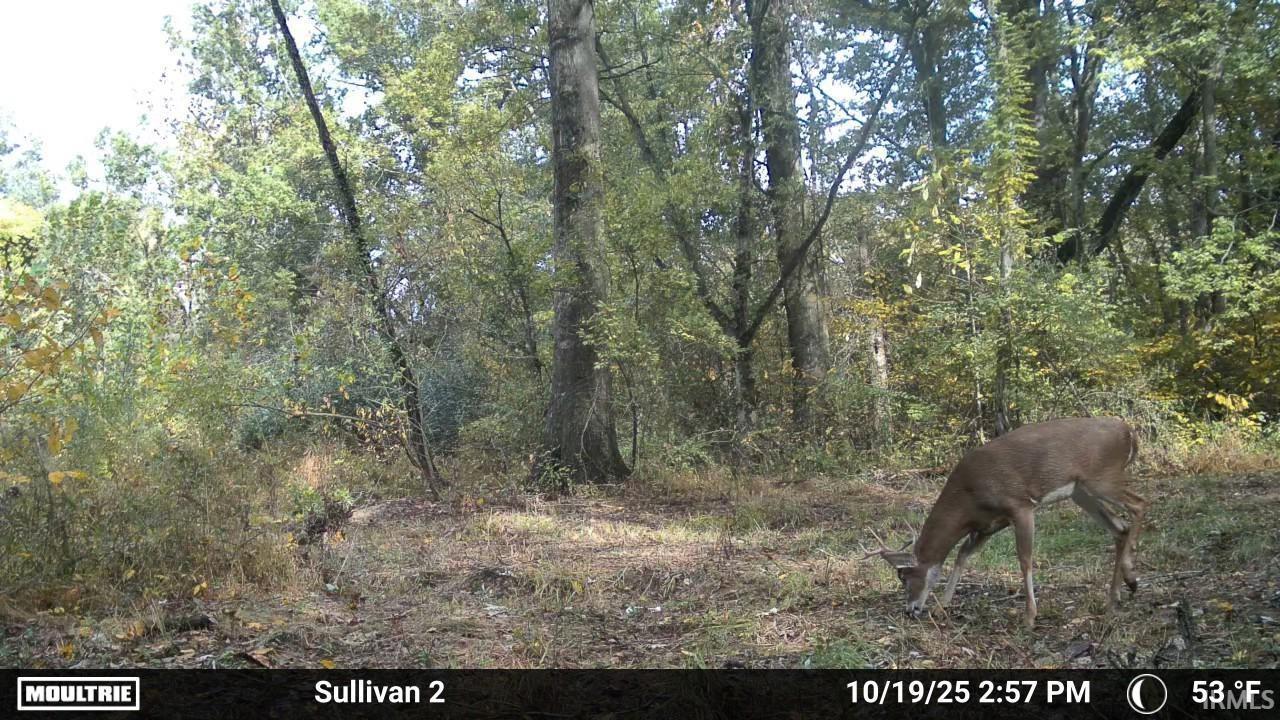 0 East 275th Sullivan, IN 47882 - Photo 22 of 24