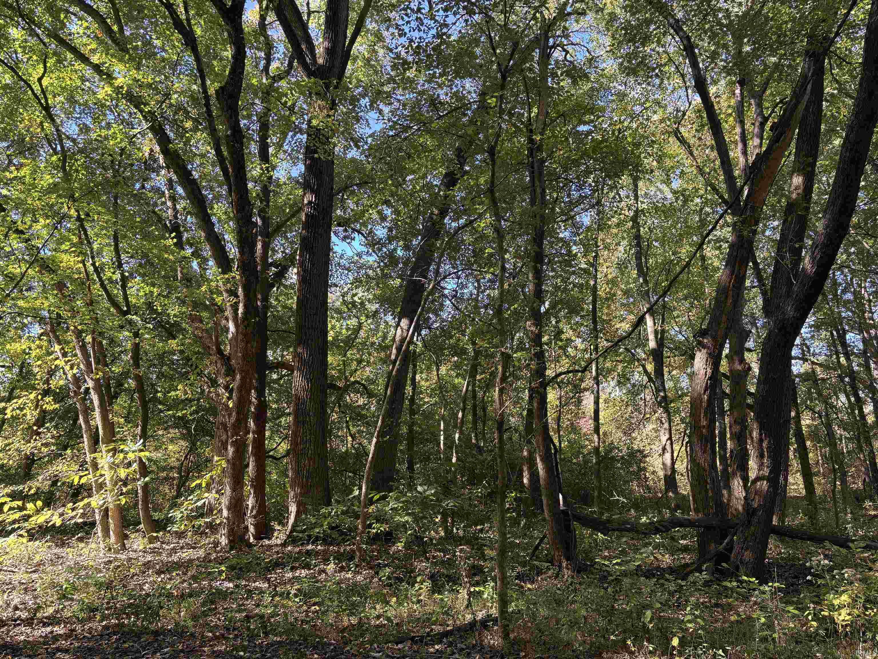 0 East 275th Sullivan, IN 47882 - Photo 9 of 24