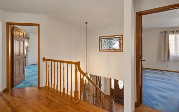 a couple of potted plants in front of a brick building