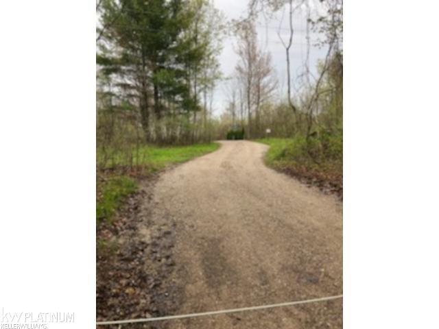 0 Burton Road Capac, MI 48014 - Photo 4 of 5
