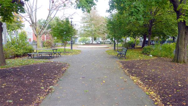 14 Linden Street, Unit 2 Brookline, MA 02445 - Photo 14 of 16 a view of a park with tree s