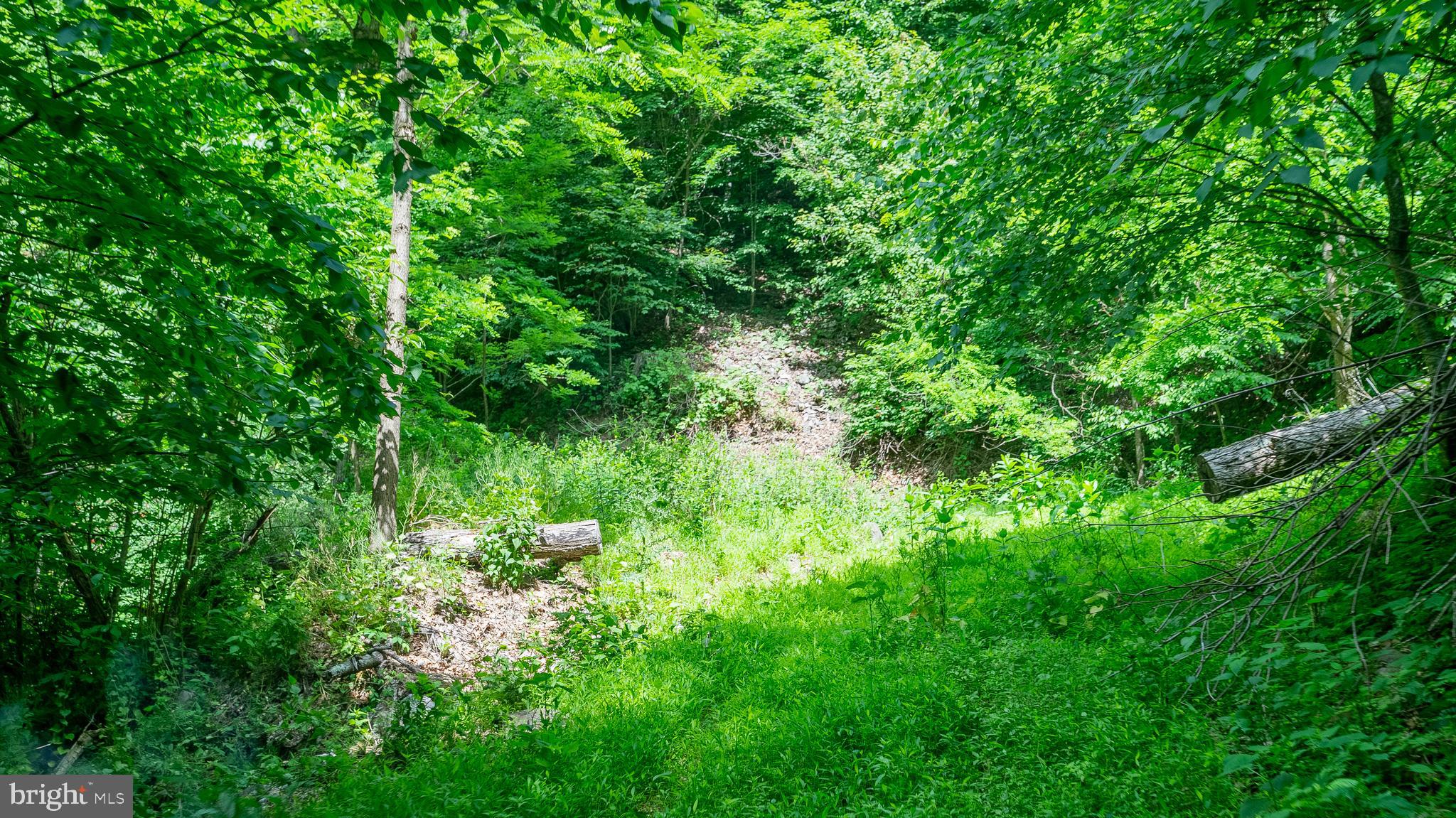 1862 Hawbush Road Circleville, WV 26804 - Photo 29 of 83