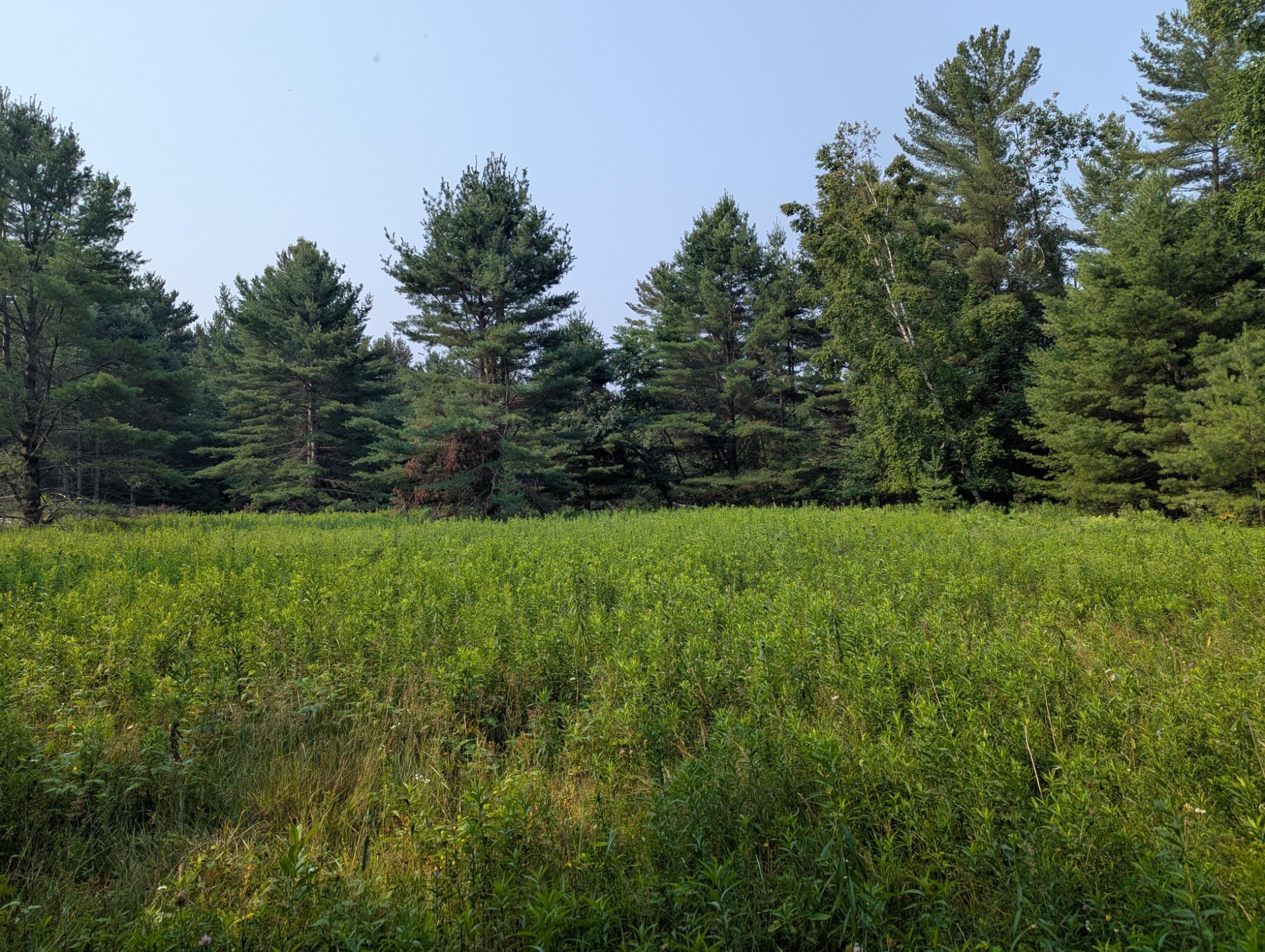 7010 Long Lake Road Rhinelander, WI 54501 - Photo 23 of 52 Gallery Image 23
