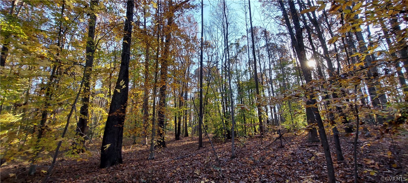 4447 Fleming Road Louisa, VA 23093 - Photo 2 of 7 Gallery Image 2