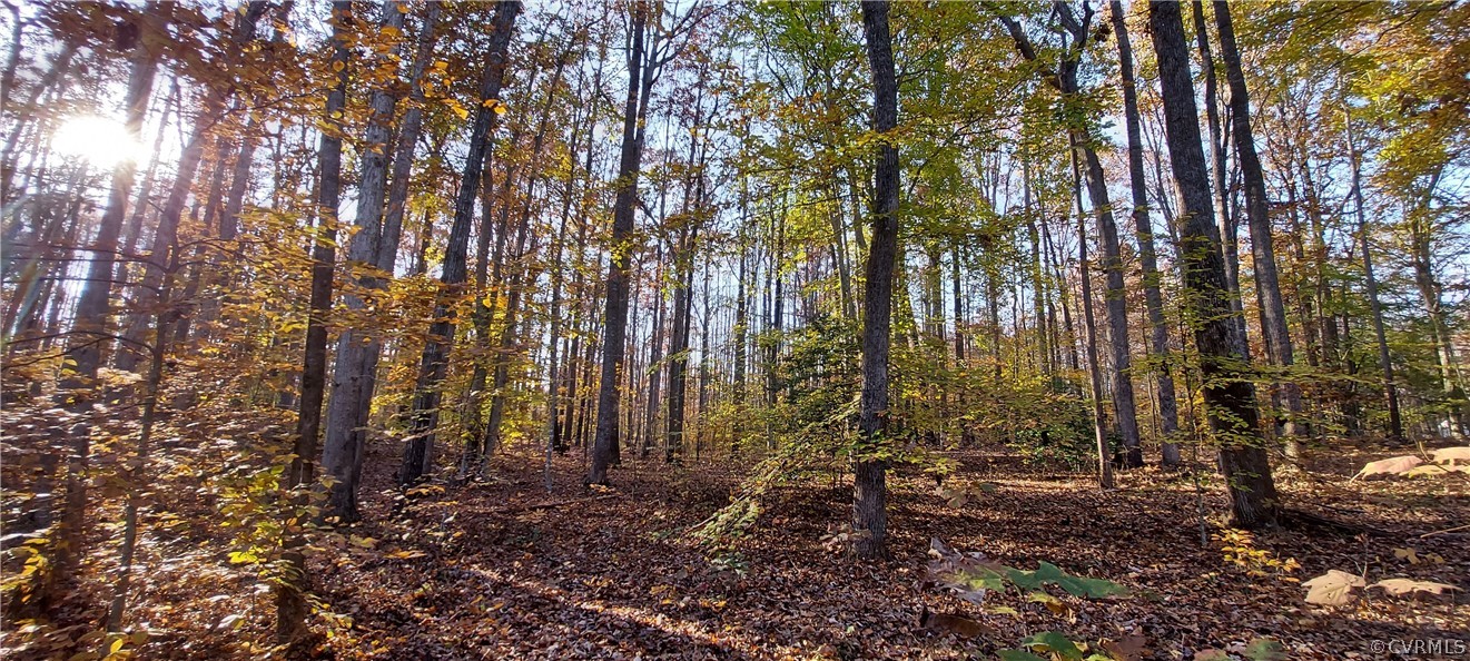 4447 Fleming Road Louisa, VA 23093 - Photo 5 of 7 Gallery Image 5