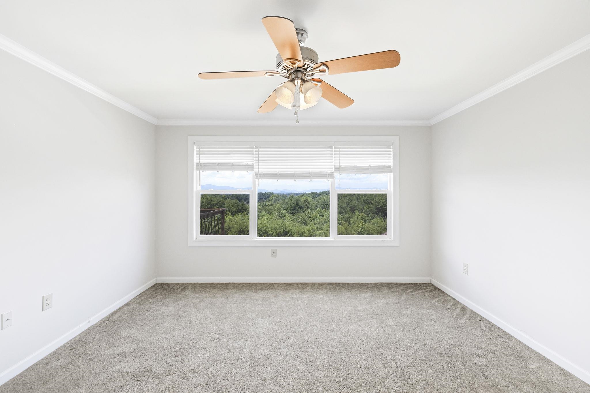 6735 Highway 357 Campobello, SC 29322 - Photo 41 of 50