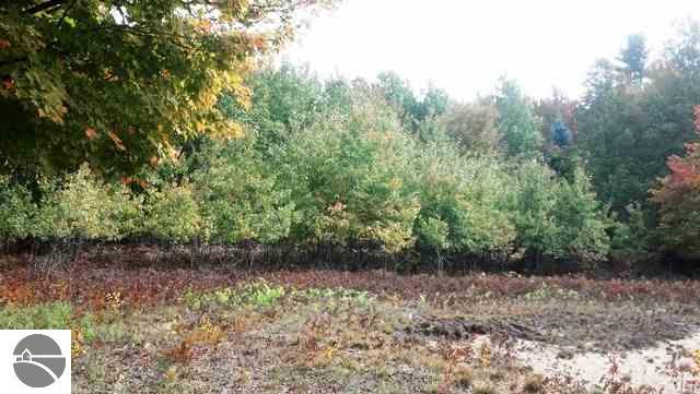 6823 Wallaker Road Benzonia, MI 49616 - Photo 6 of 18 1739881-5.JPG