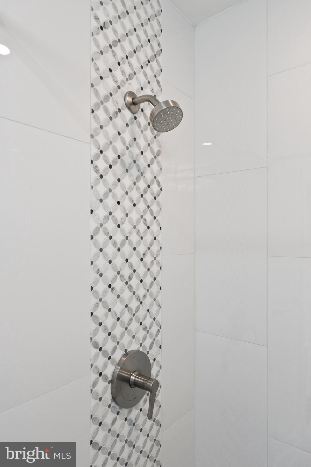 1841 E Street Northeast Washington, DC 20002 - Photo 31 of 50 a bathroom with a shower and a sink