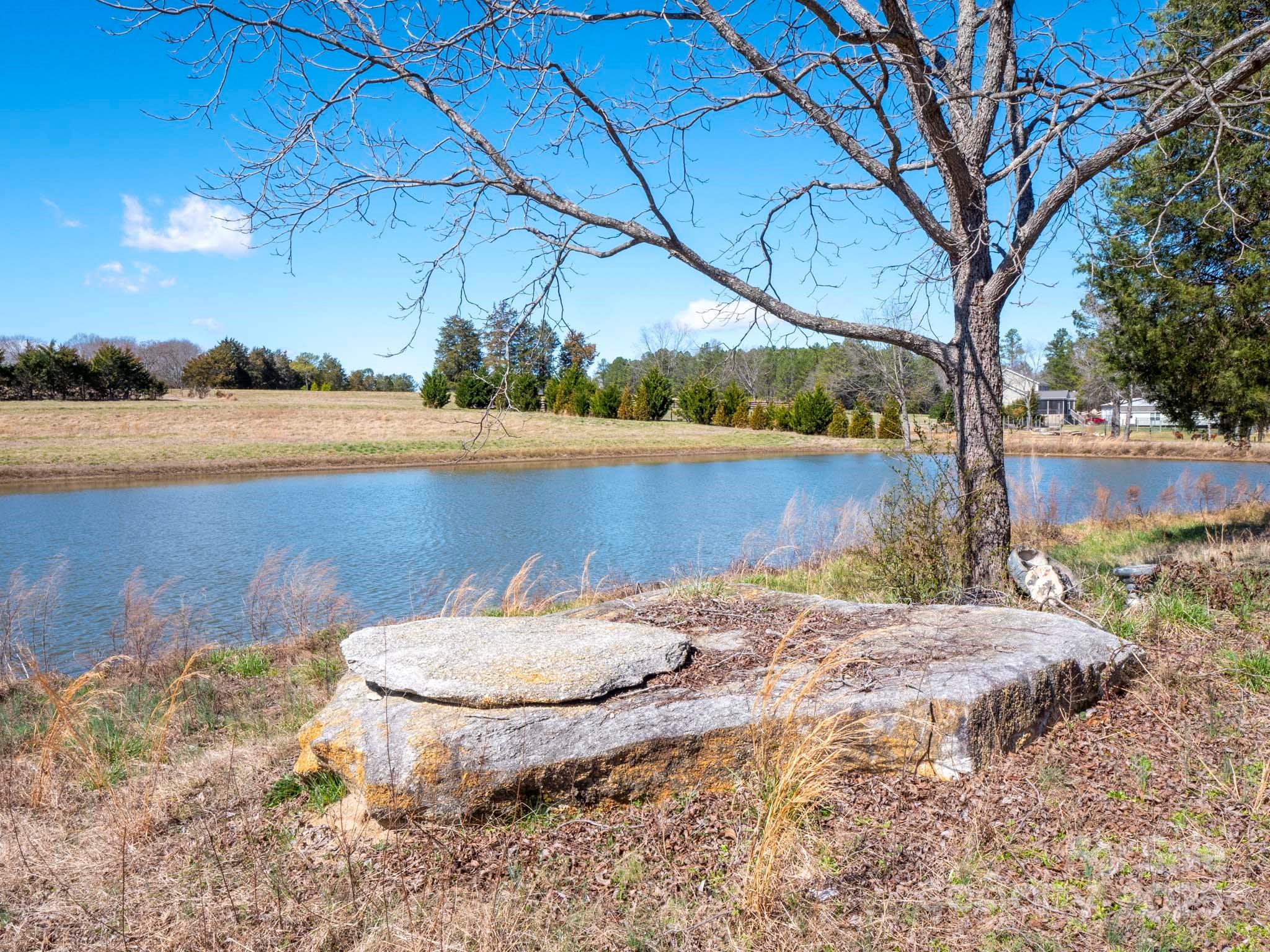 214 Currence Road Clover, SC 29710 - Photo 4 of 30 a view of a lake with a yard and potted plants