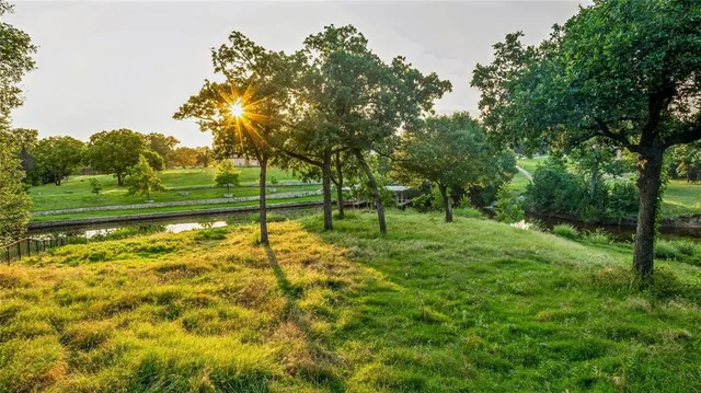 a view of a yard with a tree