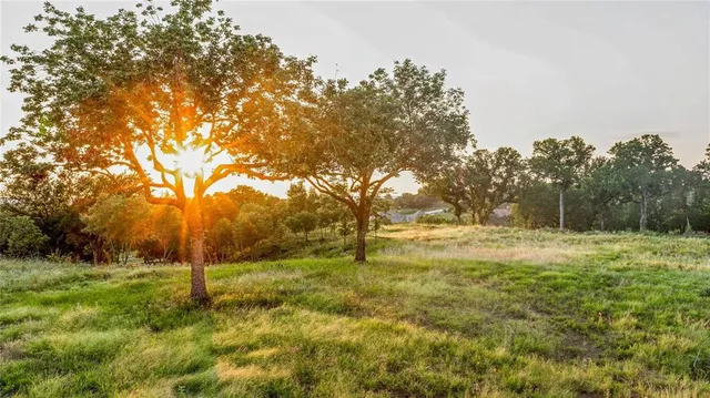 a view of yard with trees