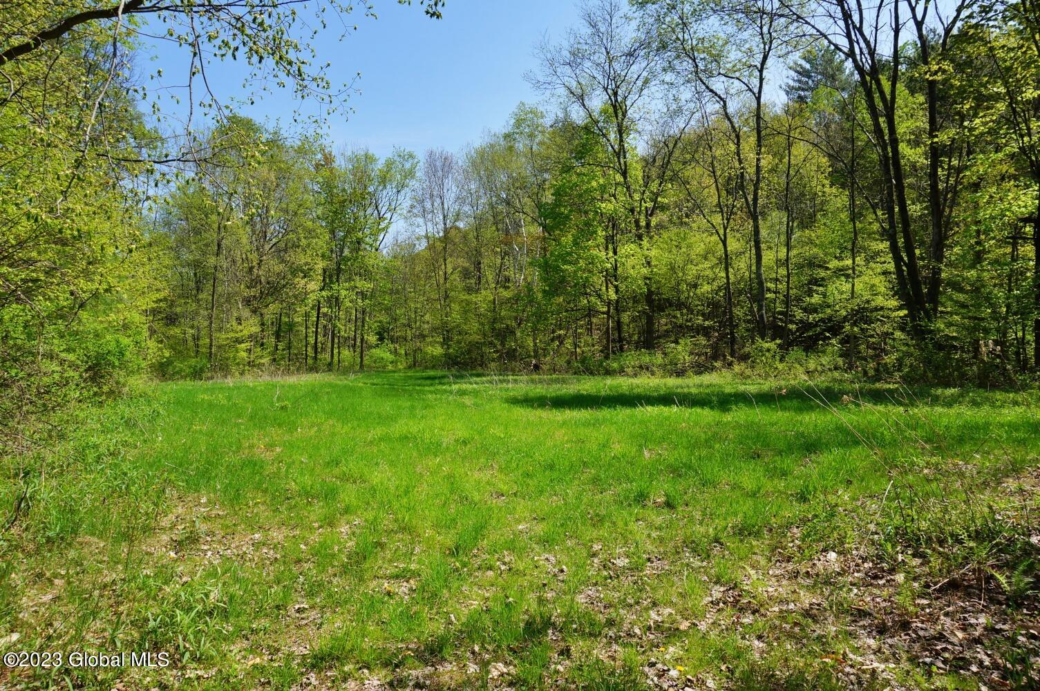 1032 Bogtown Road Hebron, NY 12865 - Photo 39 of 44 DSC06331