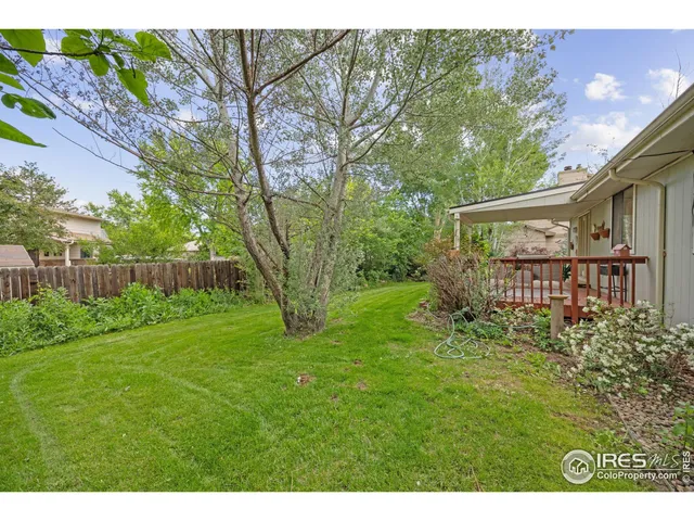 a view of a backyard with large trees