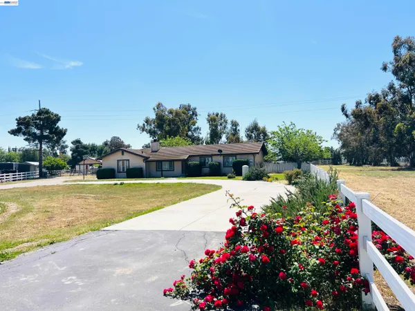 a view of a swimming pool with a garden