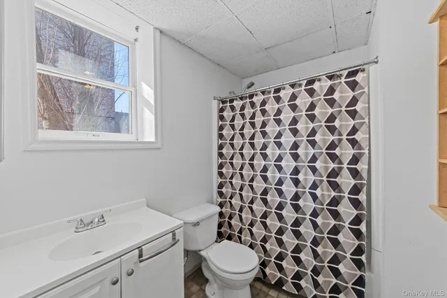 a bathroom with a sink a toilet and a shower curtain