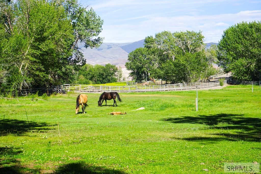 5479 Challis Creek Road Challis, ID 83226 - Photo 38 of 41