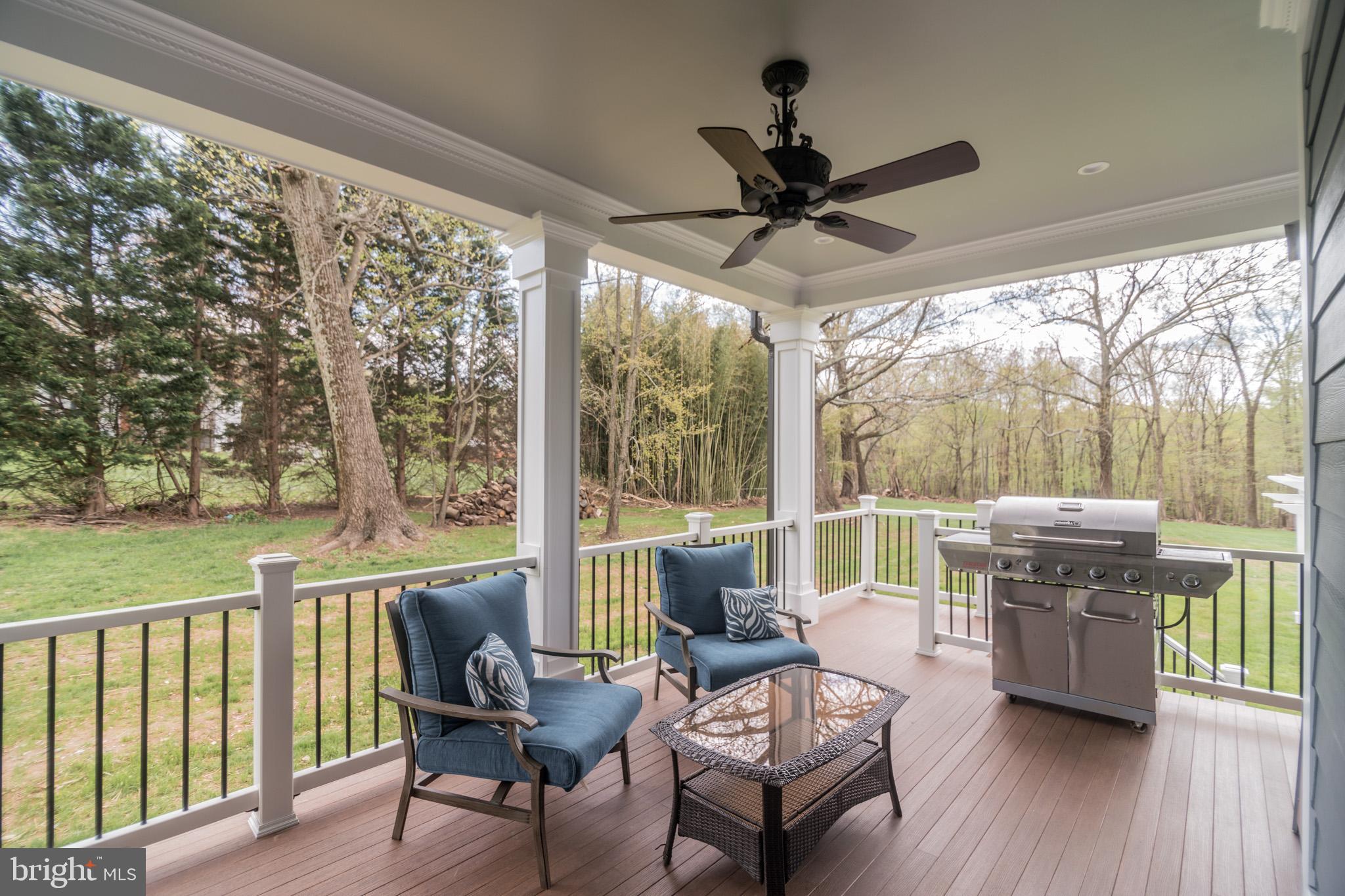 20900 Big Woods Road Dickerson, MD 20842 - Photo 12 of 40 Large out door Patio