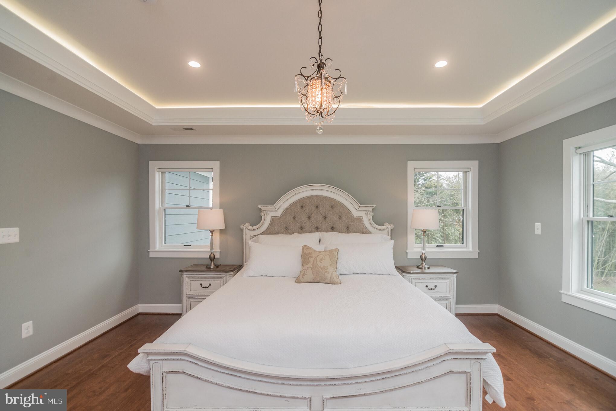 20900 Big Woods Road Dickerson, MD 20842 - Photo 17 of 40 Master bedroom with trey ceiling and cove lighting