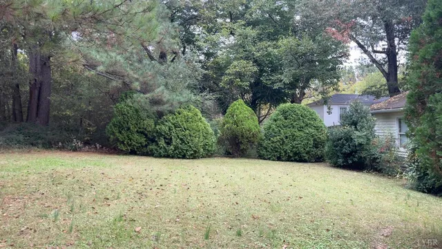 a view of a yard with plants