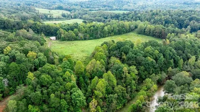 a view of a lush green forest with lots of trees