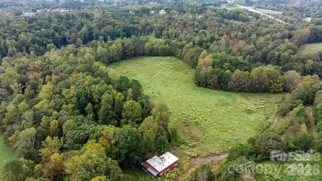 a view of a yard with plants