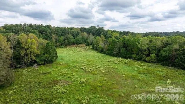 a view of a big yard with plants and large trees