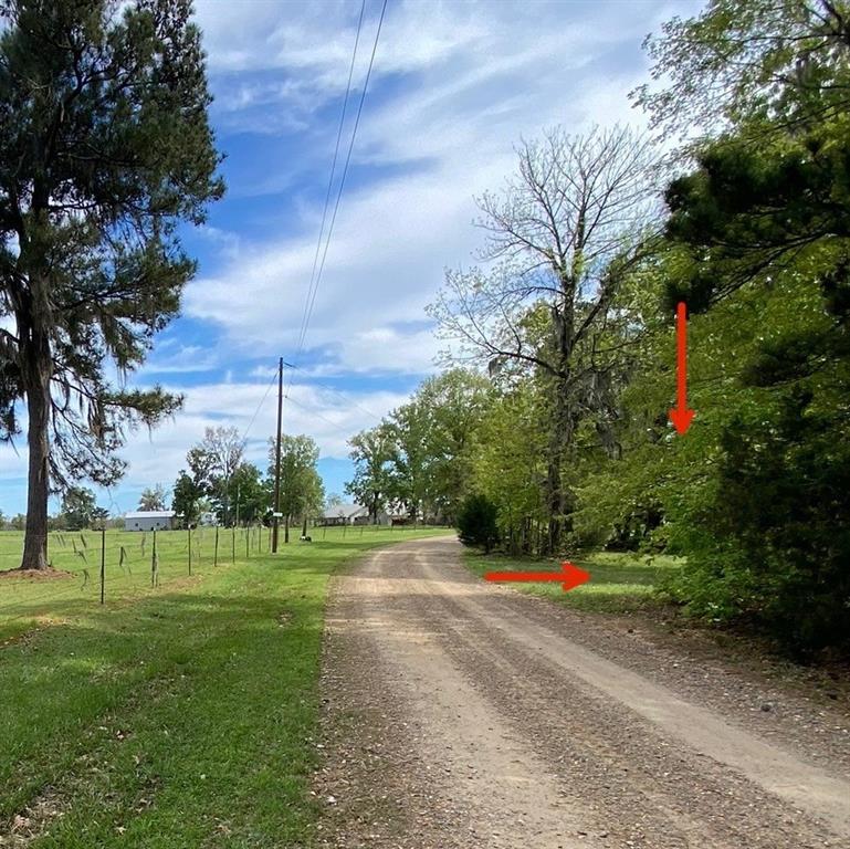 0 Benjamin Point Road Goldonna, LA 71031 - Photo 2 of 11 Gallery Image 2