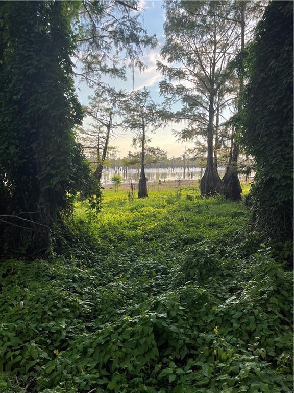 0 Benjamin Point Road Goldonna, LA 71031 - Photo 5 of 11 Gallery Image 5