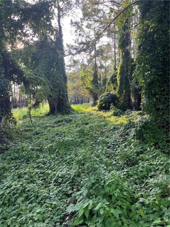 0 Benjamin Point Road Goldonna, LA 71031 - Photo 6 of 11 Gallery Image 6