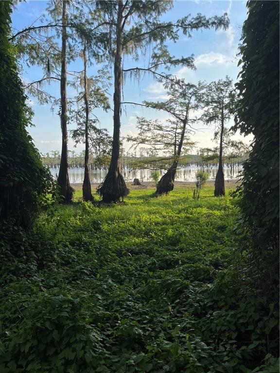 0 Benjamin Point Road Goldonna, LA 71031 - Photo 9 of 11 Gallery Image 9