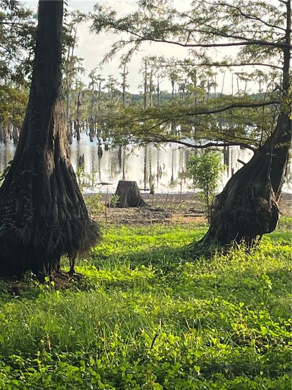0 Benjamin Point Road Goldonna, LA 71031 - Photo 10 of 11 Gallery Image 10