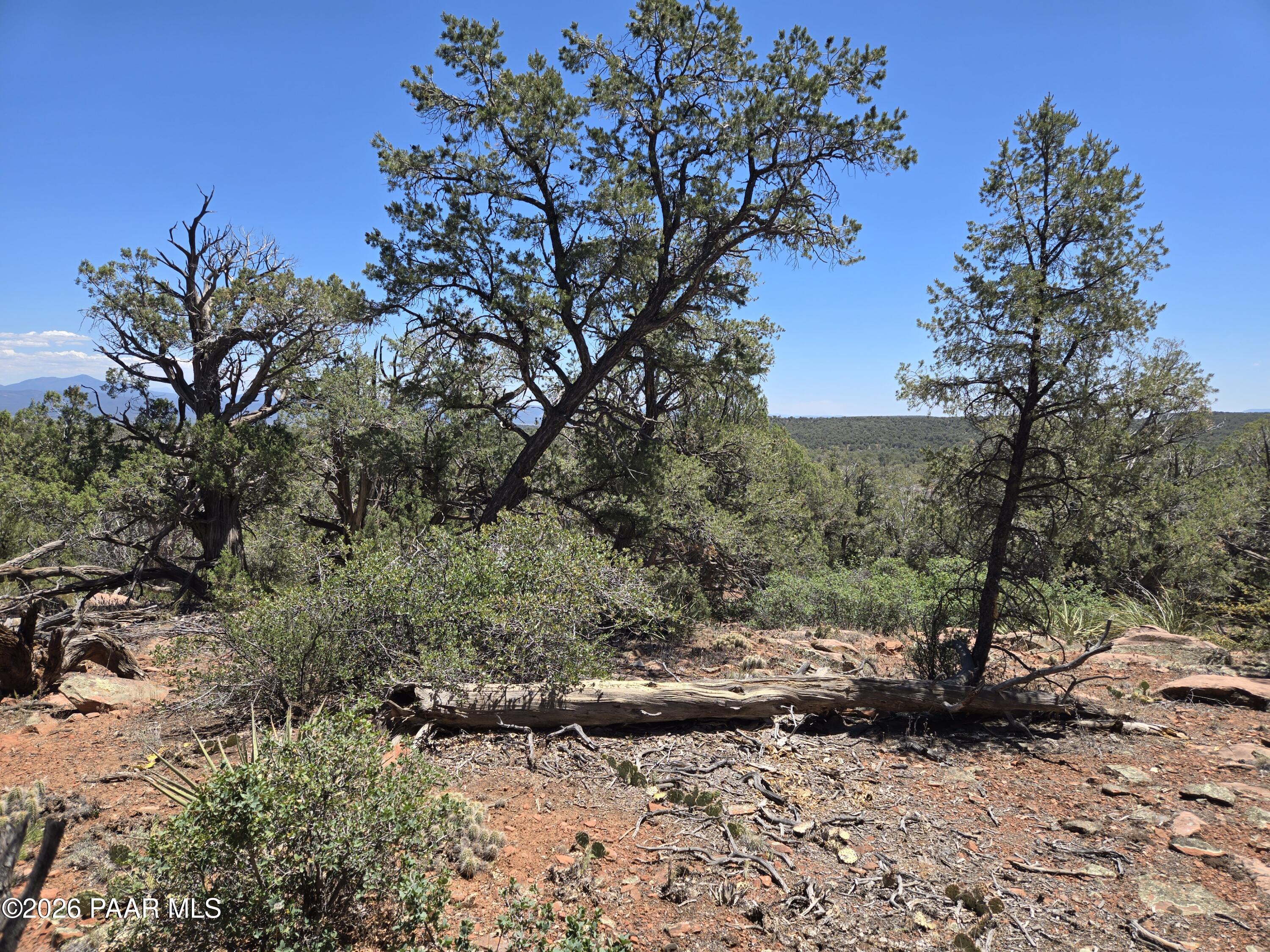 450 Arizona Road Ash Fork, AZ 86320 - Photo 5 of 16 20260515_120057