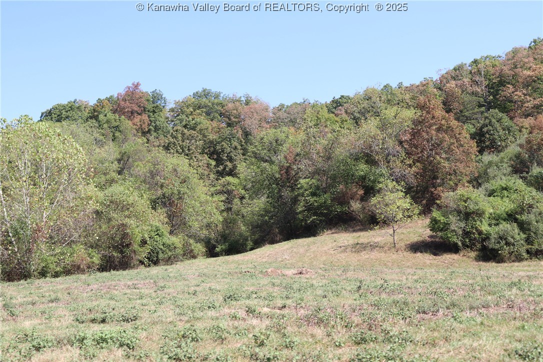 0 16 Mile Road Southside, WV 25187 - Photo 6 of 27 Gallery Image 6