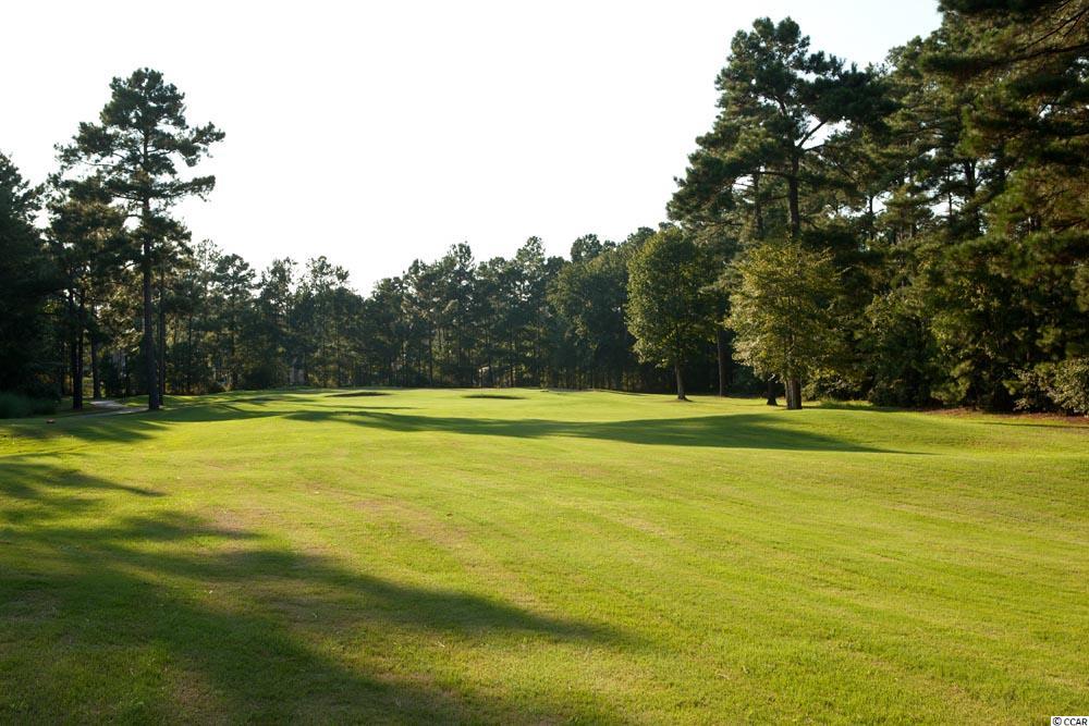 Lot 174 Chamberlin Road Myrtle Beach, SC 29588 - Photo 15 of 15 Gallery Image 15
