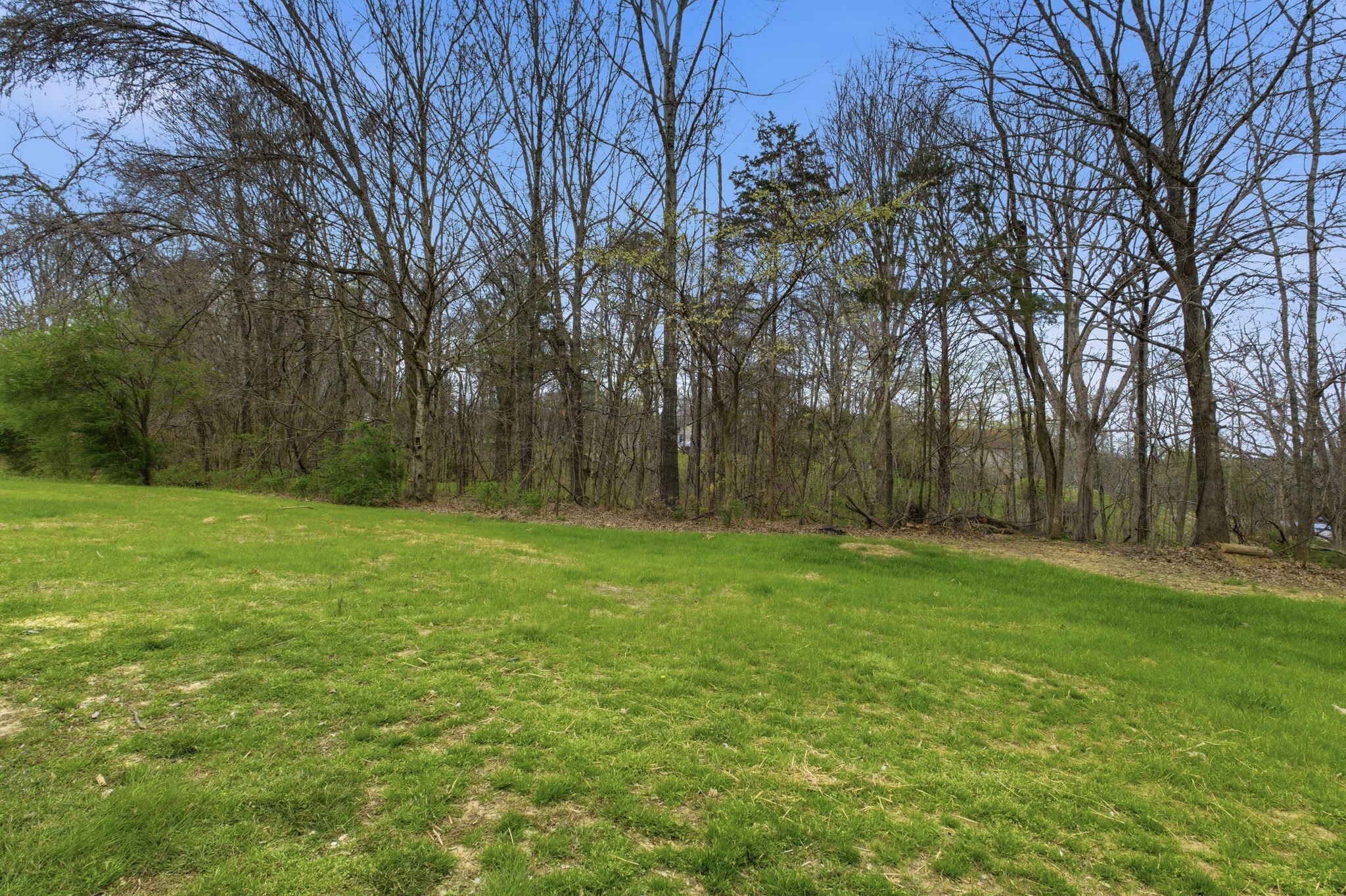 2113 Hanah Court Spring Hill, TN 37174 - Photo 33 of 36 a view of a yard with a tree