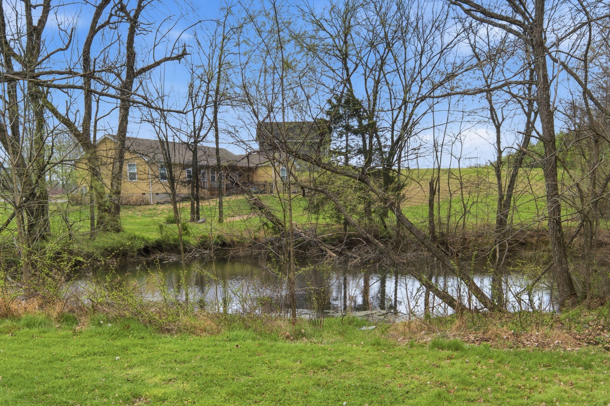 2113 Hanah Court Spring Hill, TN 37174 - Photo 36 of 36 a backyard of a house with lots of green space