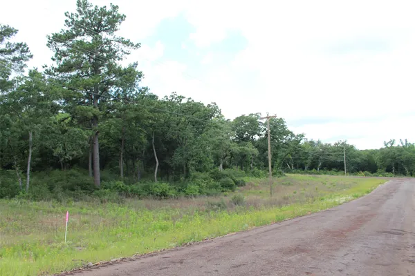 a view of a grassy field with trees in the background