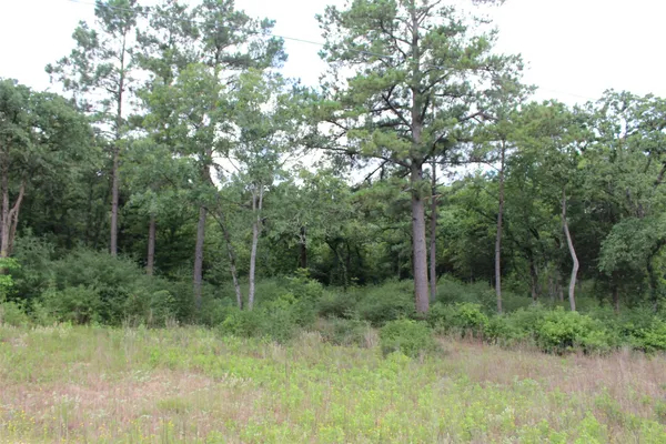 a view of outdoor space and green space