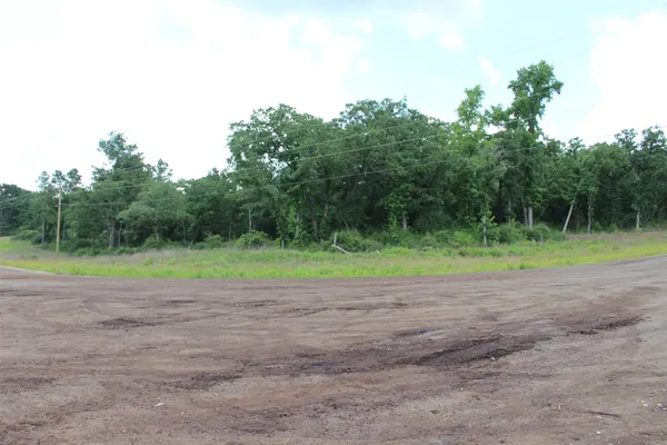 a view of a field with trees in the background