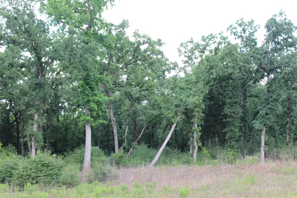 a view of backyard with green space